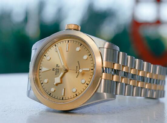 The Tudor looks very mild and luxurious with the gold and steel tone.